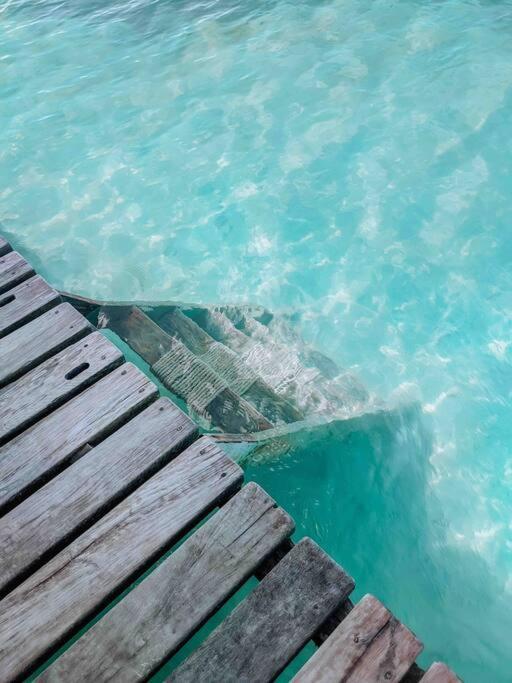 Vacation Home Blue Lotus Caye Caulker Exteriér fotografie