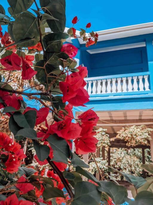 Vacation Home Blue Lotus Caye Caulker Exteriér fotografie