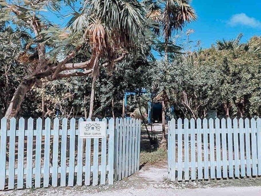 Vacation Home Blue Lotus Caye Caulker Exteriér fotografie